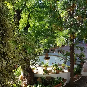Apartamento Patio Andaluz Siglo Xvi, Sevilla